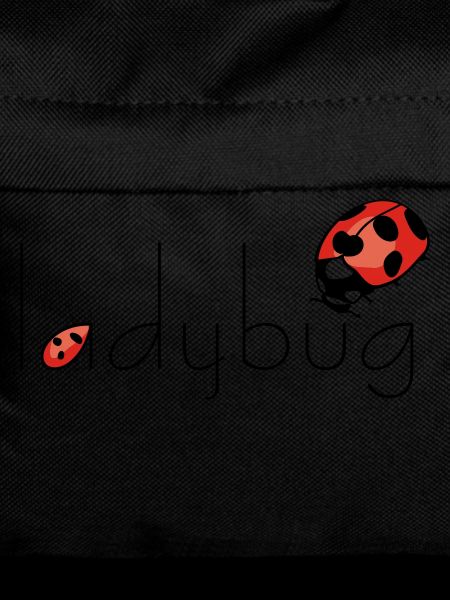ladybug Marienkäfer