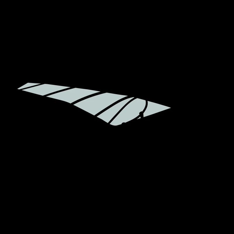 Windsurfer