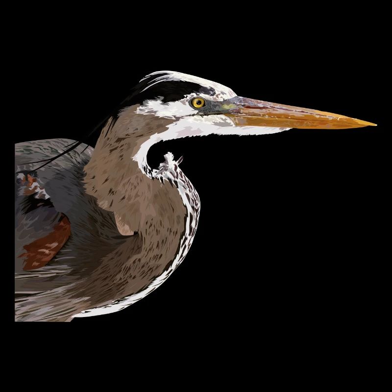 Blue heron