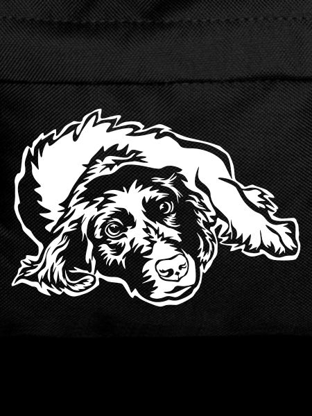 Munsterländer "Black Edition"