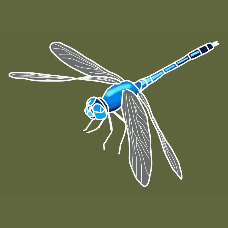 dragonfly