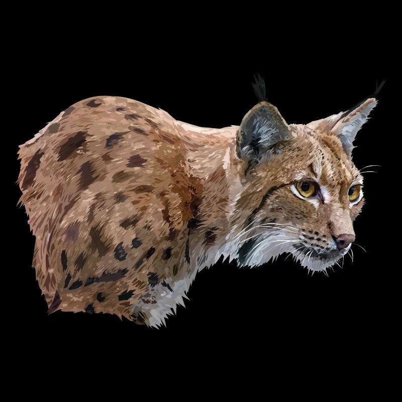 lynx