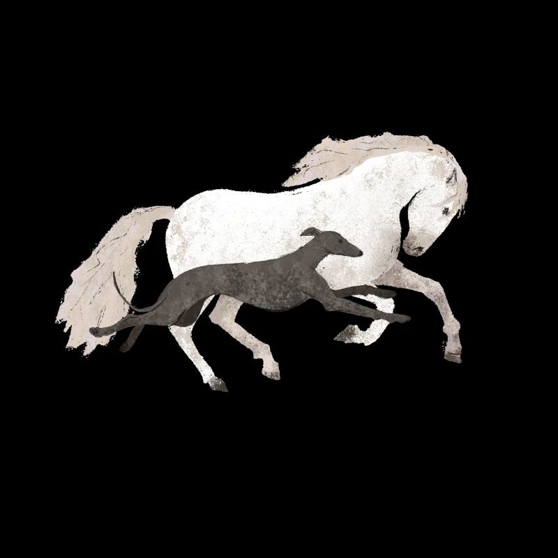 Galgo und Pferd