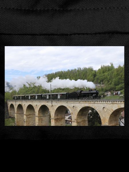 SBB Lok auf Viadukt