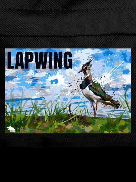 LAPWING