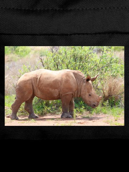Rhino in the Grasslands