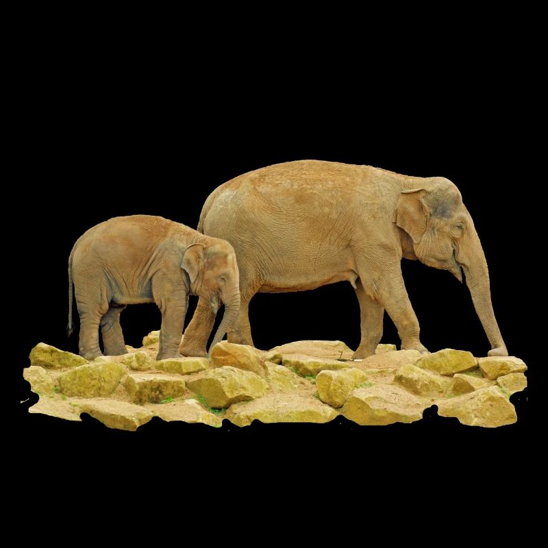 Mama und Baby Indischer Elefant
