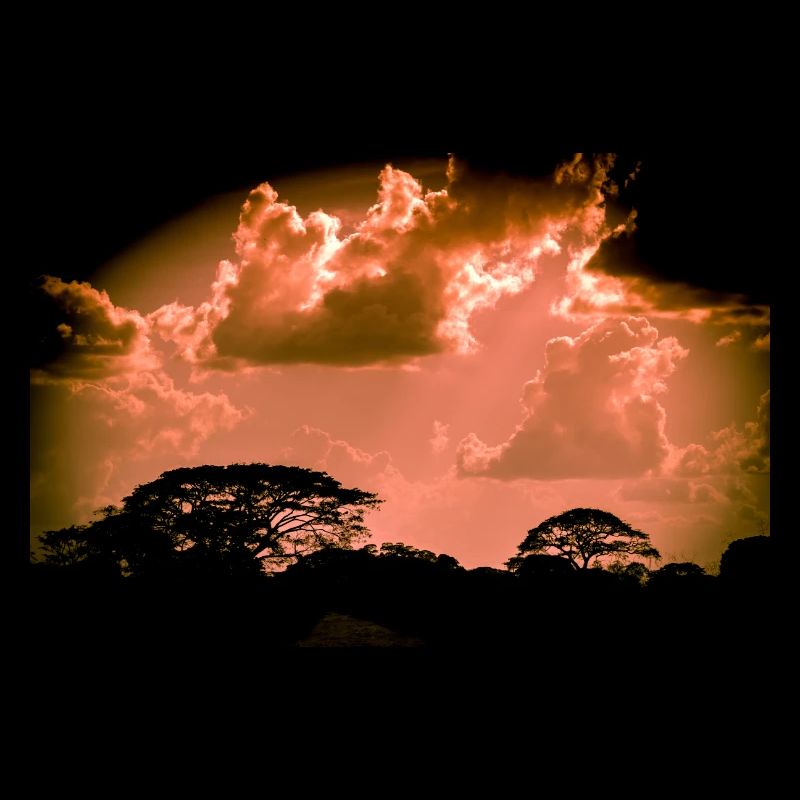 I am no one... apocalypse