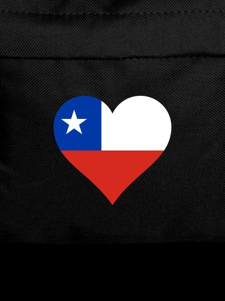 Chile Chilean flag flag