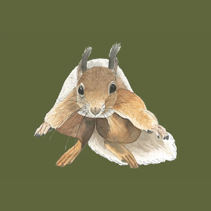 Eichhörnchen springen squirrel