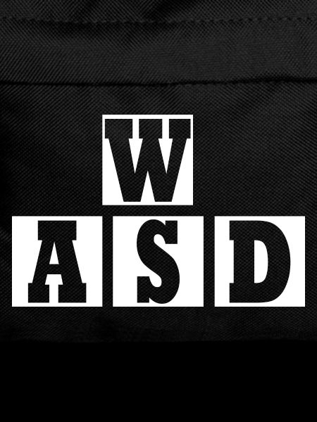 W A S D