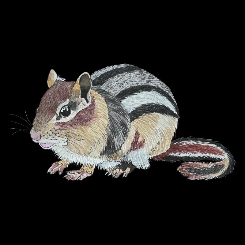 Streifenhörnchen Chipmunk Backenhörnchen Burunduk