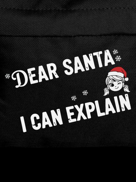 Dear Santa I Can Explain
