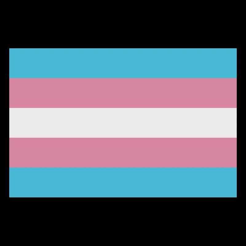 Drapeau trans