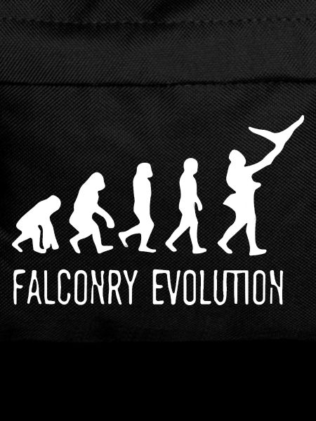 Évolution de la Fauconnerie