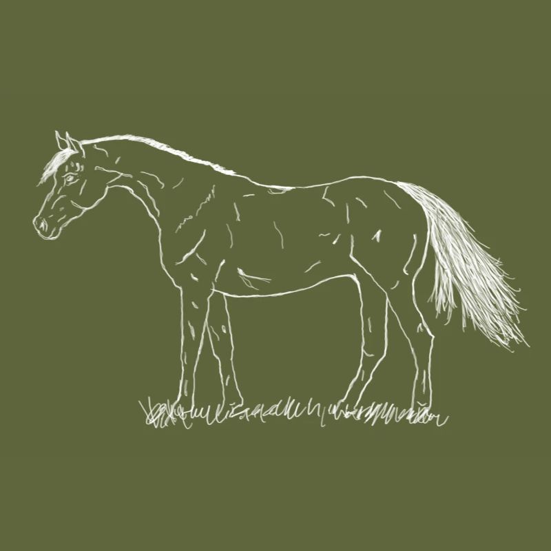 Pferd