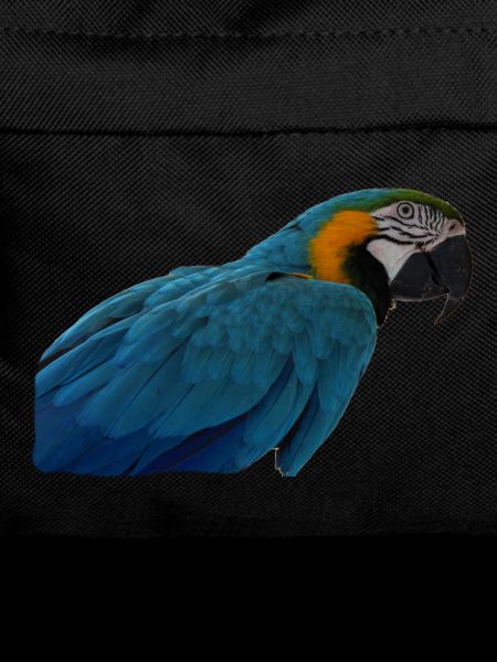 Parrots Bird T-shirt Gift