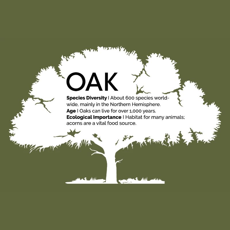 OAK Eichen mit Informationen Naturschutz Baum Wald