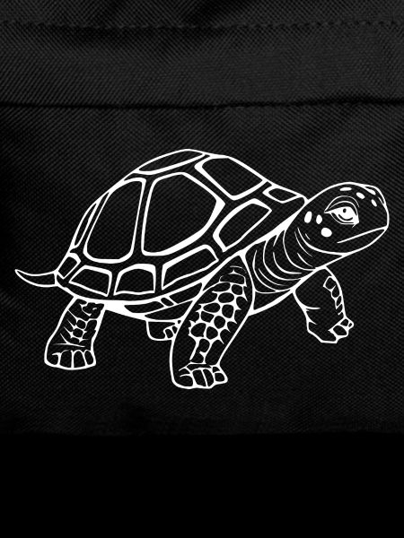 Schildkröten Schildkröten