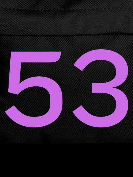 53