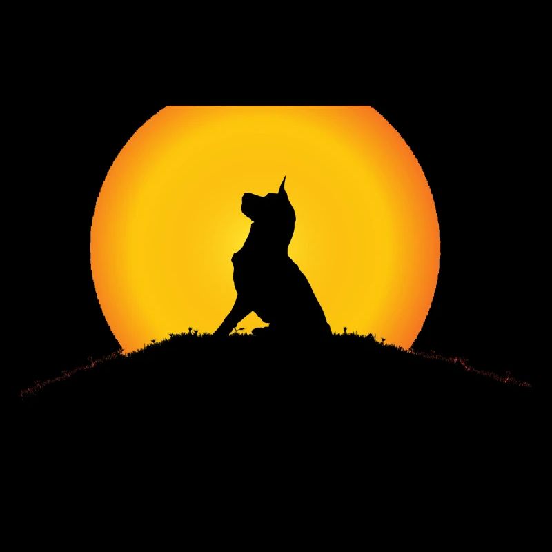 A dog in the sun