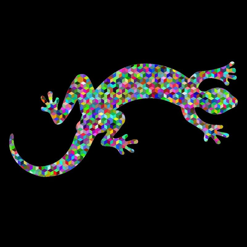 Gecko, salamandre, concours de modèles