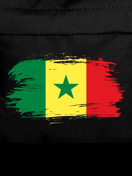 Senegal flag flag