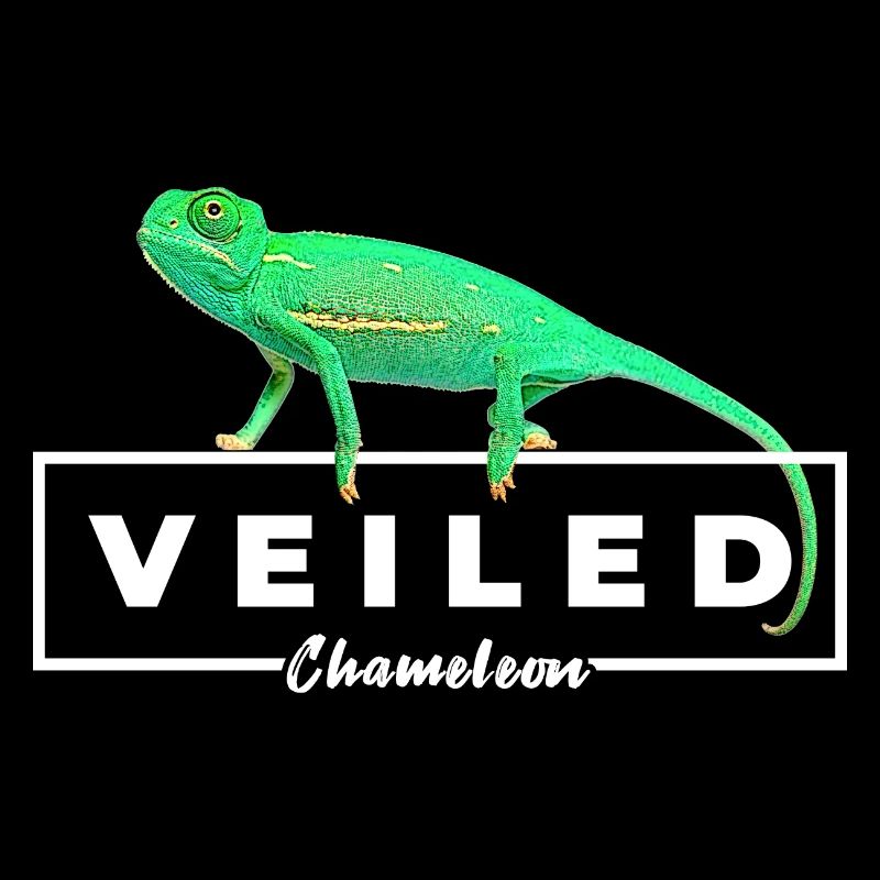 Baby Veiled Chameleon Reptile Owner