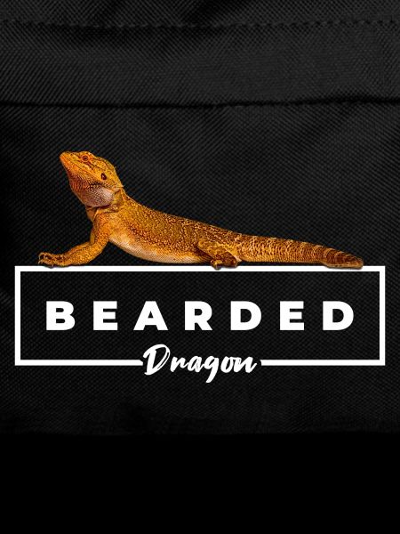 Bearded Dragon Reptile Owner
