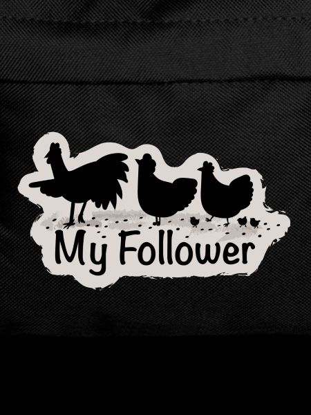 My Follower