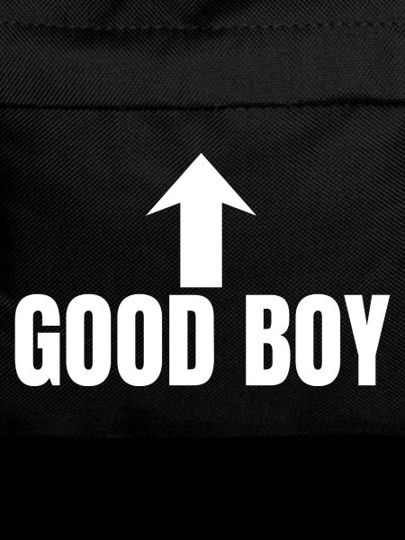 Good Boy Arrow Up Funny
