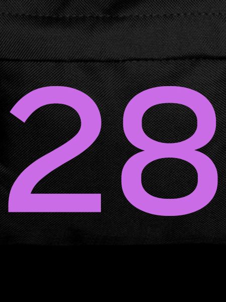28