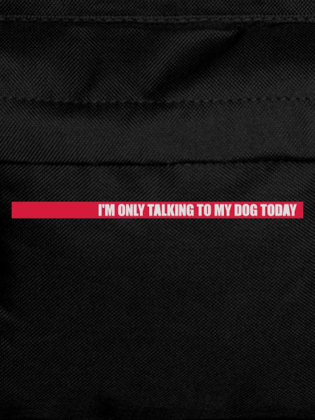 only talking to dog