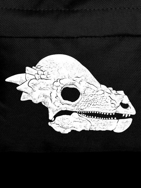 Pachycephalosaurus Fossil Skull