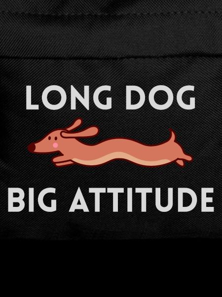 Long Dog Big Attitude Dachshund