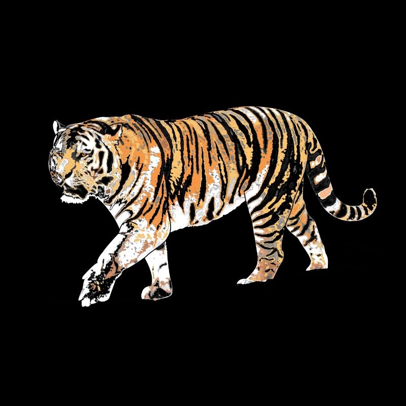 tiger