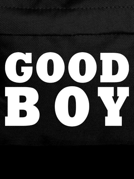 Good boy