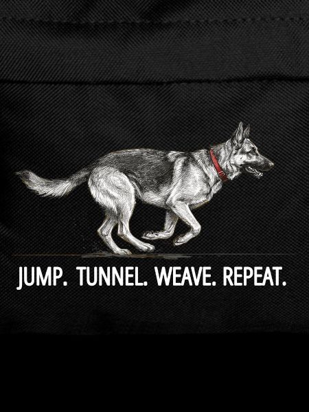 Agility German Shepherd Jump Tunnel Repeat