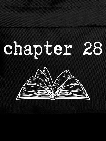 chapter 28 Birthday