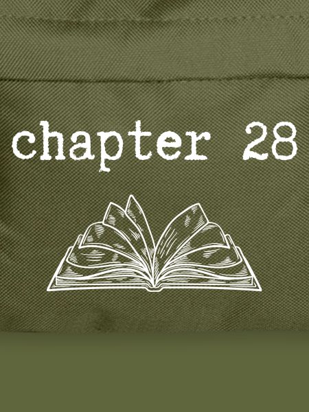 chapter 28 Birthday