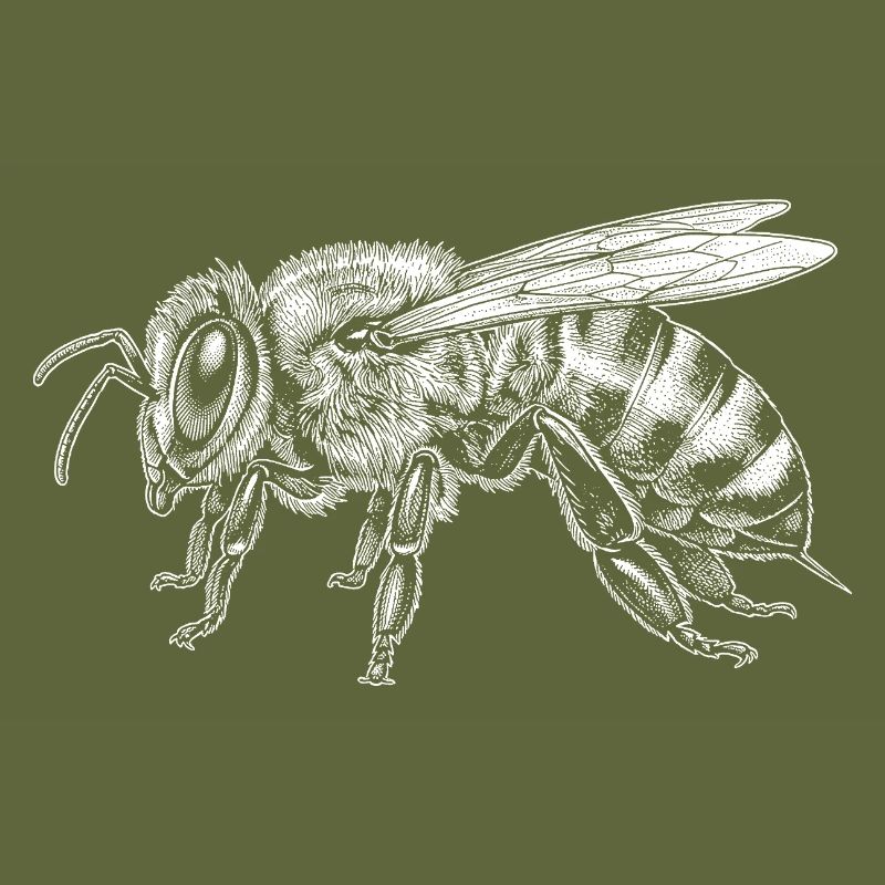 honeybee