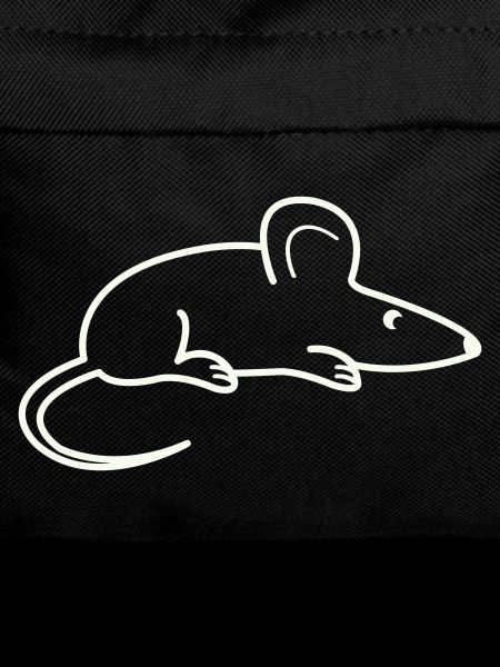 mouse animal