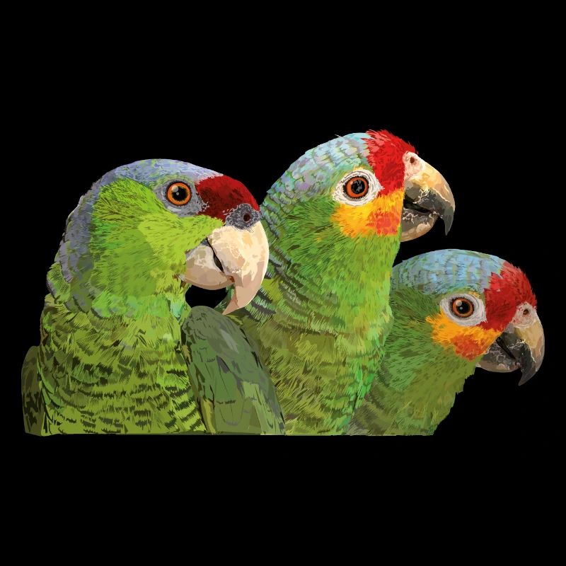 Red-fronted Amazon and lilac-crowned parrot