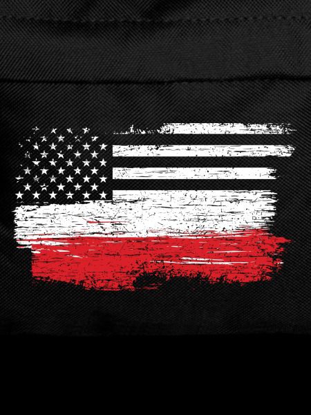 Brushed U.S. Flag Art