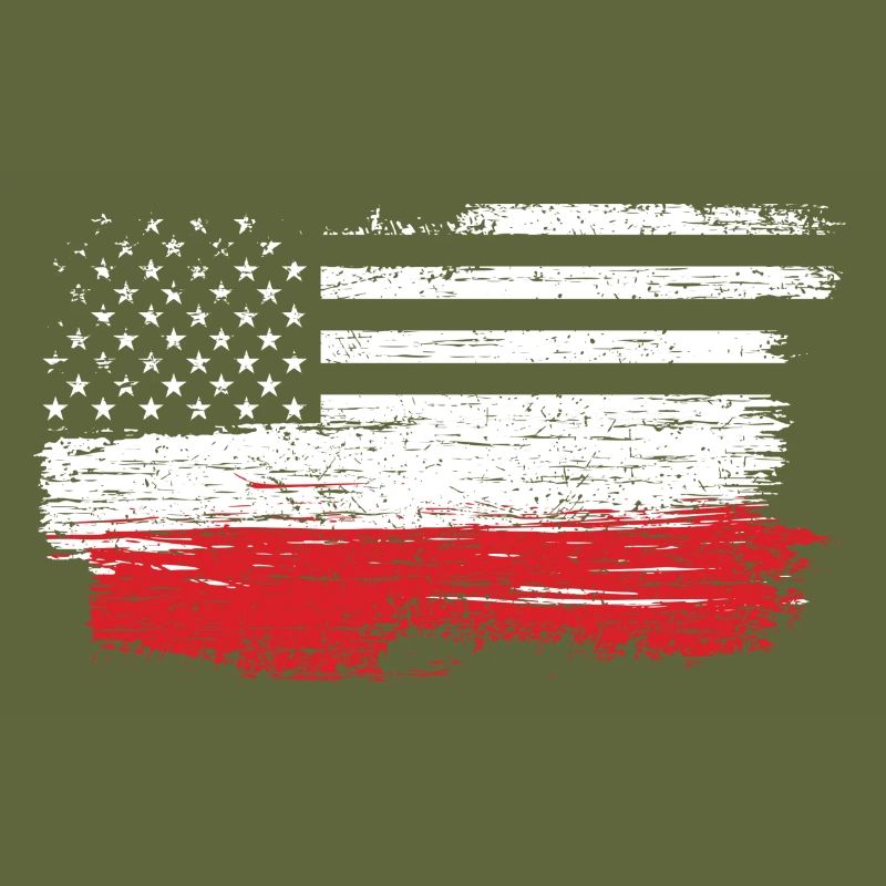 Brushed U.S. Flag Art