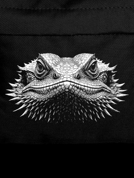 Dragon barbu