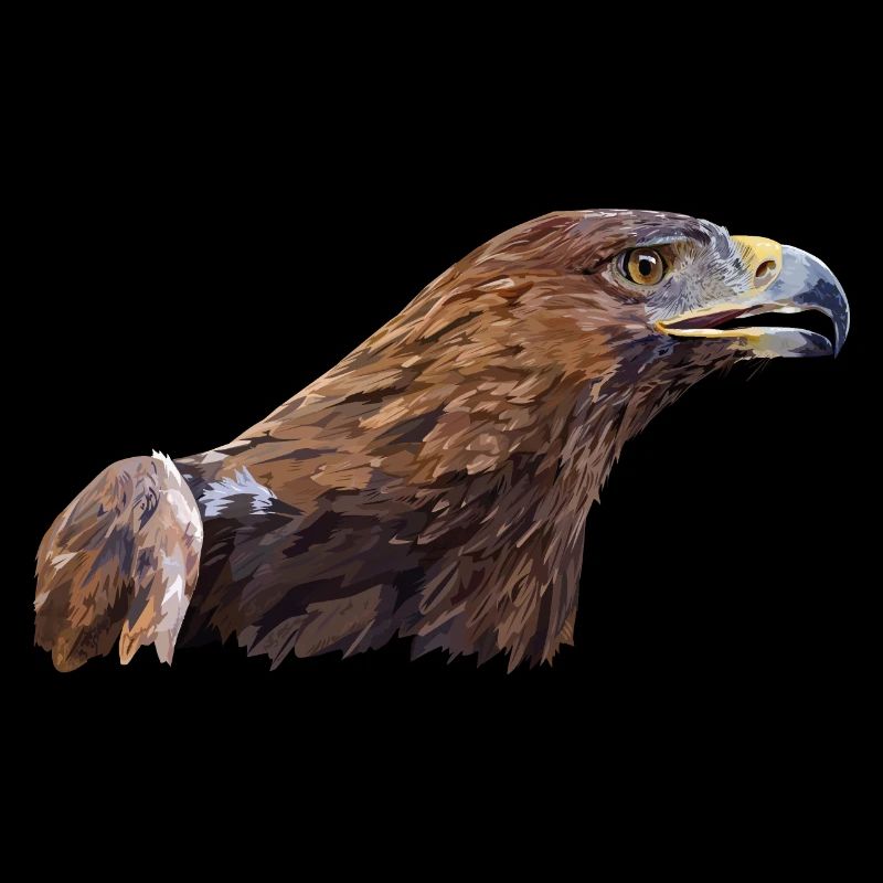 Aigle royal