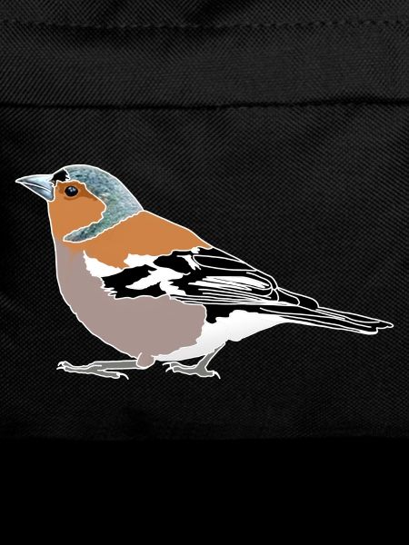 Chaffinch Illustration – Native Birds