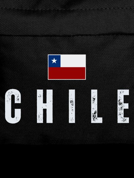 I love Chile, Chilean pride