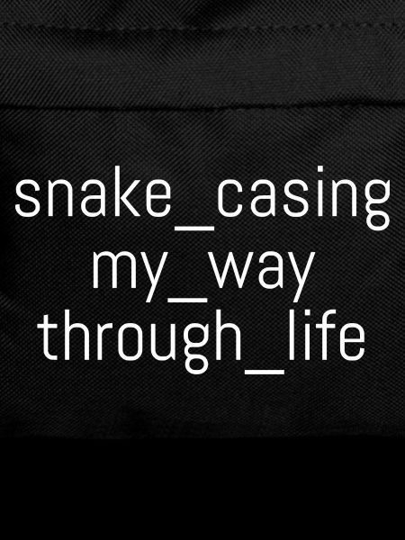 Snake Casing – Lebensweg | Informatiker | Nerd